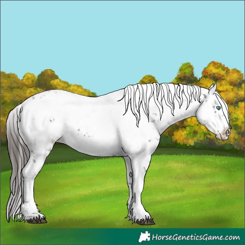 Horse Color:Liver Chestnut Frame 