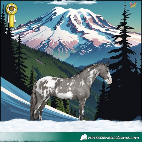 Horse Color:White Spotted Grullo Frame Appaloosa 