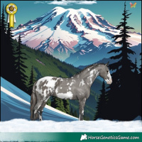 Horse Color:White Spotted Grullo Frame Appaloosa 