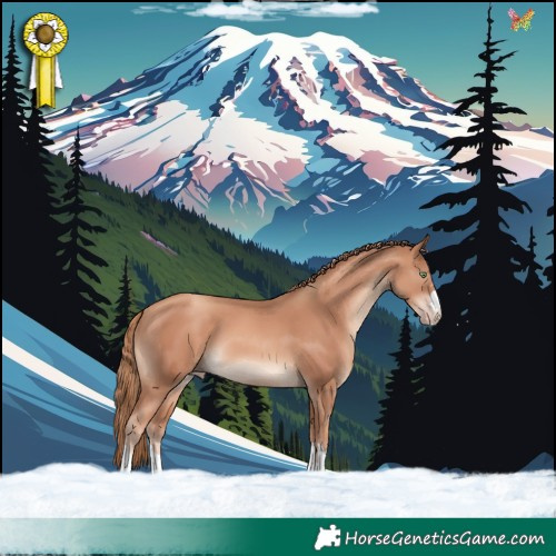 Horse Color:Gold Champagne 
