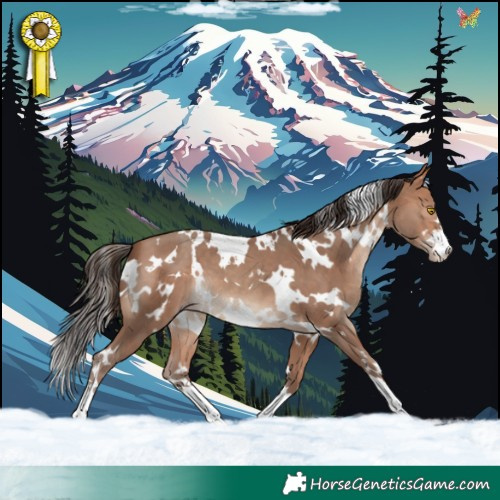 Horse Color:White Spotted Amber Champagne 