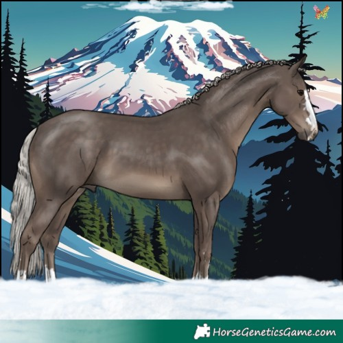 Horse Color:Silver Black 