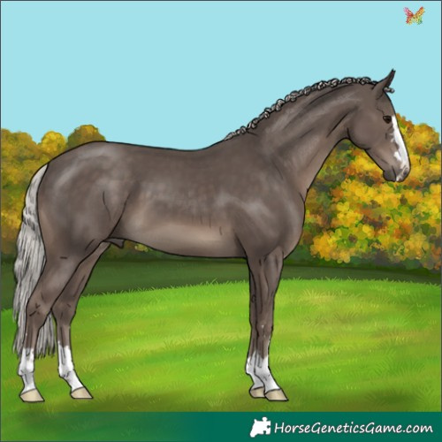 Horse Color:Silver Black 