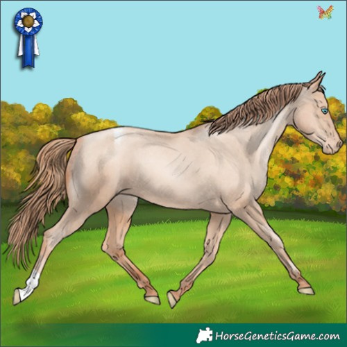 Horse Color:Sable Champagne Pearl Appaloosa 