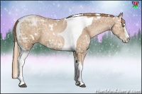Horse Color:White Spotted Chestnut Ice Pearl Splash Tobiano