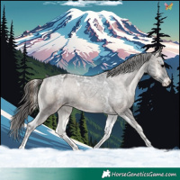 Horse Color:Blue Onyx Ice Tobiano Varnish 