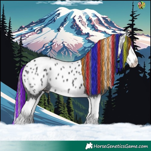 Horse Color:Painted Black Sabino Splash Appaloosa 