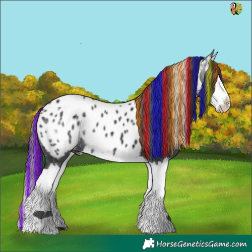 Horse Color:Painted Black Sabino Splash Appaloosa 