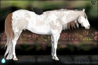 Horse Color:White Spotted Smoky Blue Ice Roan Pearl Splash Frame 
