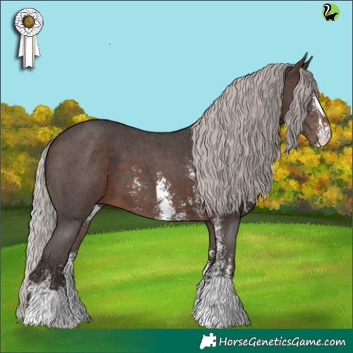 Horse Color:Silver Brown Sabino 