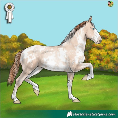 Horse Color:White Spotted Sable Champagne Pearl Sabino 