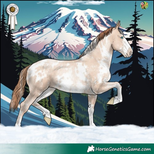 Horse Color:White Spotted Sable Champagne Pearl Sabino 