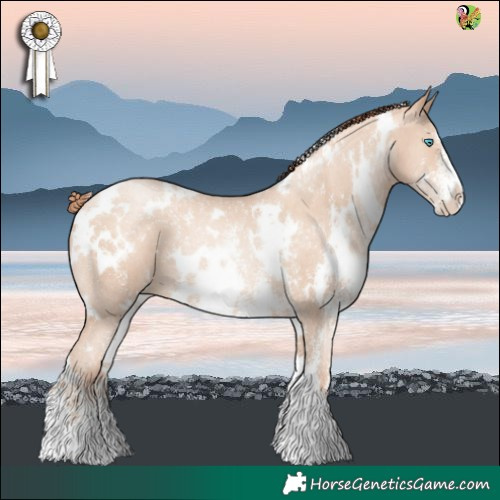 Horse Color:White Spotted Sable Champagne Pearl Sabino 