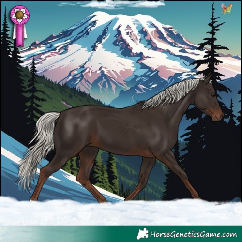 Horse Color:Liver Chestnut Mushroom 