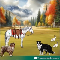 Horse Color:Liver Chestnut Frame 