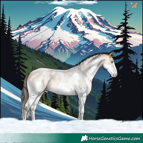 Horse Color:Buckskin Roan Splash 