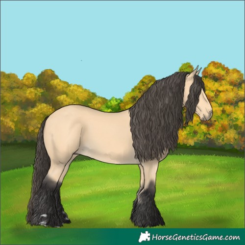 Horse Color:Buckskin 