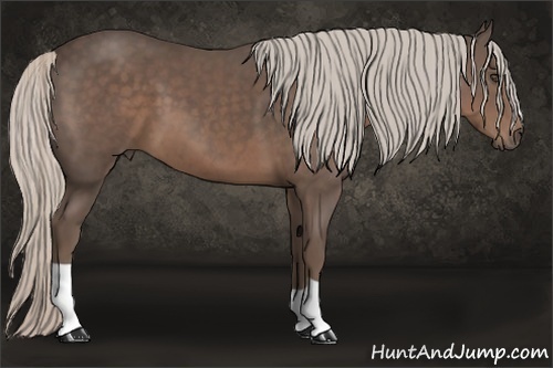 Horse Color:Silver Black 