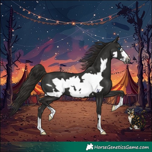 Horse Color:Liver Chestnut Frame 