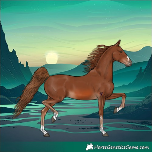 Horse Color:Chestnut 