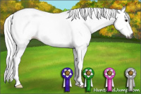 Horse Color:Gray White Spotted Brown 