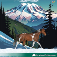 Horse Color:Bay Tobiano 