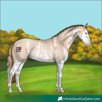 Horse Color:Bay Pearl Dun Sabino Splash 