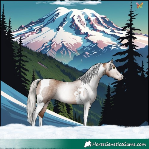 Horse Color:Gray Silver Sable Champagne Tobiano Rabicano 