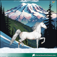 Horse Color:Gray Silver Sable Champagne Tobiano Rabicano 