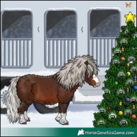 Horse Color:Silver Brown Splash