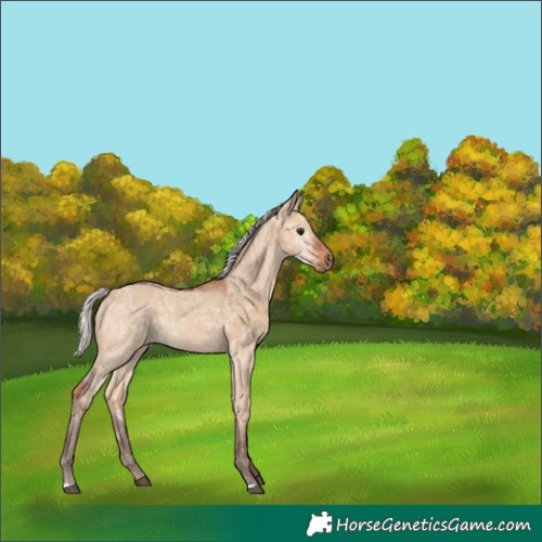 Horse Color:Silver Bay Ice Dun 