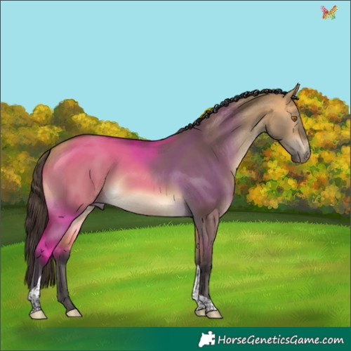 Horse Color:Buckskin Dun Tobiano 