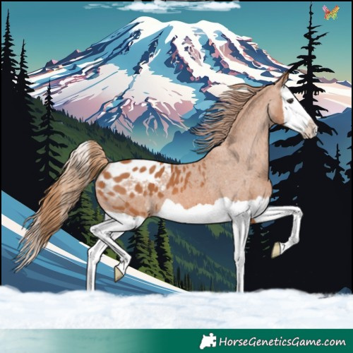 Horse Color:Chestnut Splash Blanket 