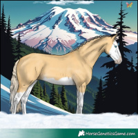 Horse Color:Palomino Dun Splash 