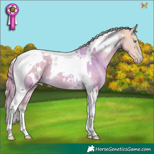Horse Color:White Spotted Perlino Tobiano 