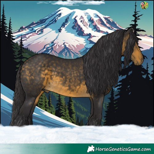 Horse Color:Buckskin 
