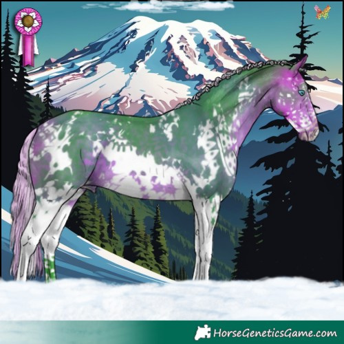 Horse Color:Watercolor White Spotted Silver Buckskin Splash 