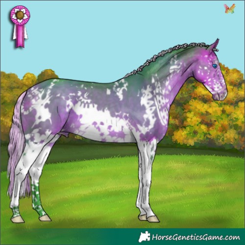 Horse Color:Watercolor White Spotted Silver Buckskin Splash 