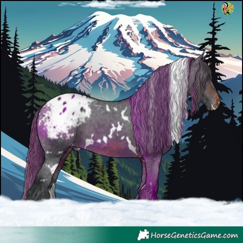 Horse Color:White Spotted Brown Appaloosa 