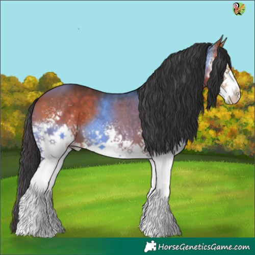Horse Color:White Spotted Bay 
