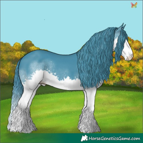 Horse Color:Watercolor Smoky Black Splash 