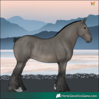 Horse Color:Grullo Rabicano 
