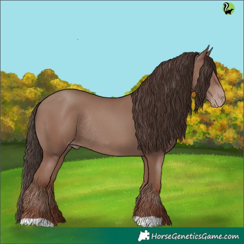 Horse Color:Classic Champagne Rabicano 