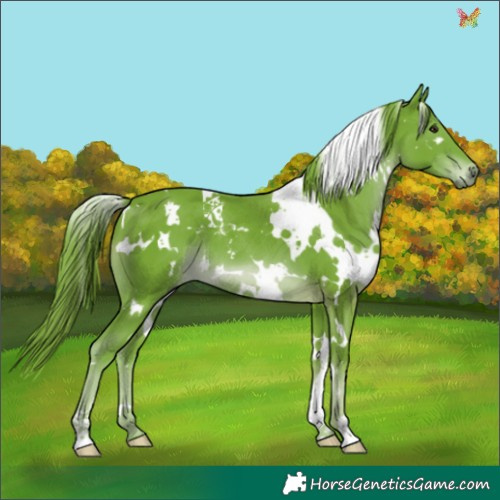 Horse Color:Watercolor White Spotted Liver Chestnut 
