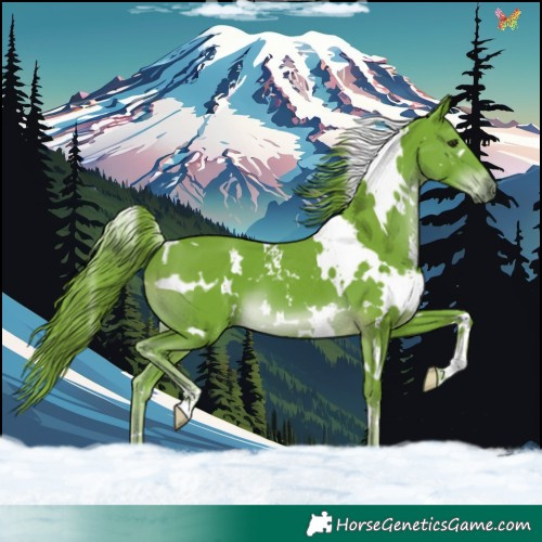 Horse Color:Watercolor White Spotted Liver Chestnut 