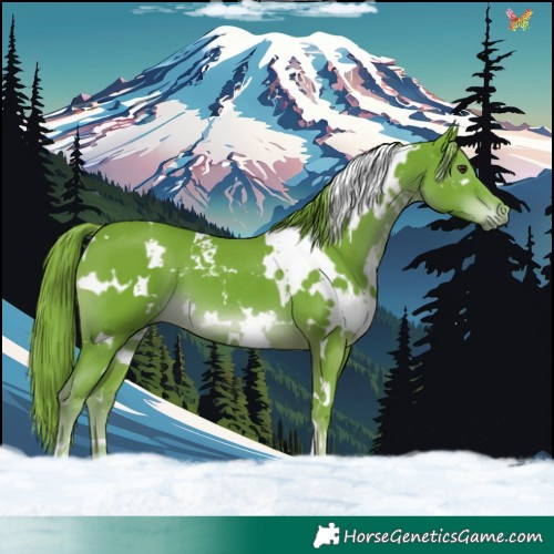 Horse Color:Watercolor White Spotted Liver Chestnut 