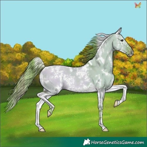 Horse Color:Watercolor White Spotted Liver Red Dun Splash 