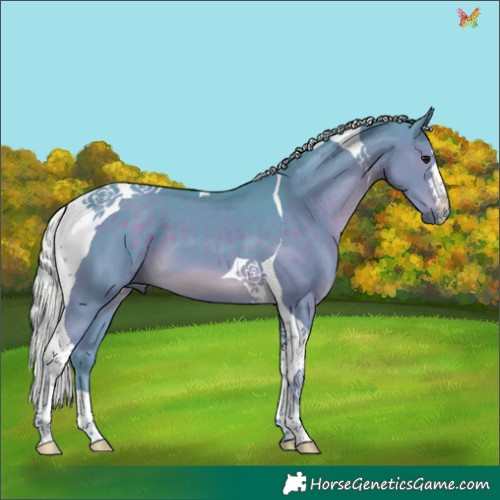 Horse Color:Watercolor Silver Black Tobiano 