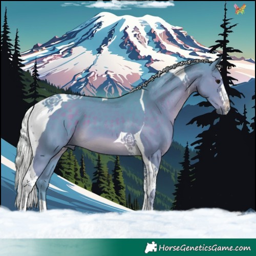 Horse Color:Watercolor Silver Black Tobiano 