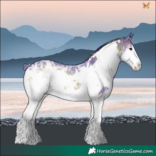 Horse Color:Watercolor White Spotted Blue Onyx Ice Splash Frame 